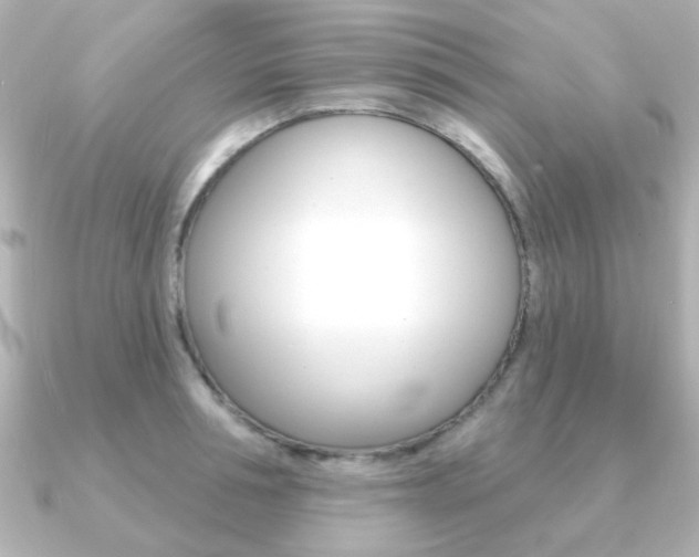 X0000091190994200708091019