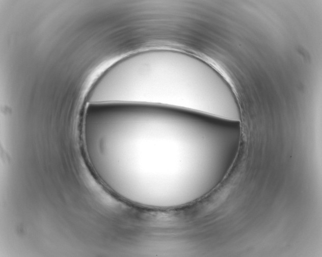 X0000091190995200708091019