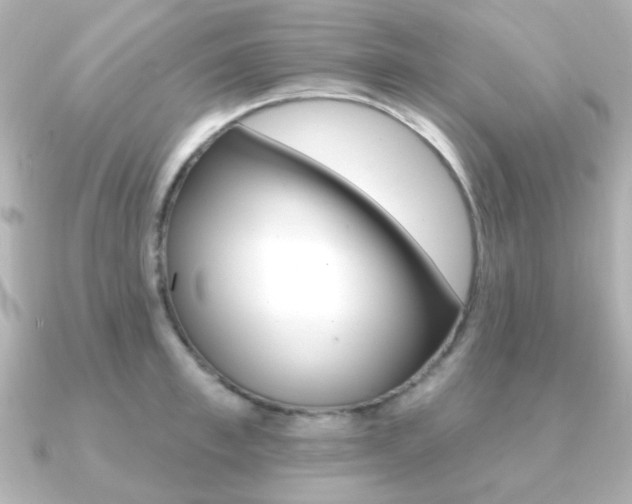X0000091190997200708091019