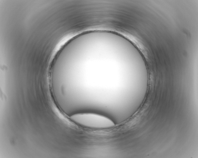 X0000091190998200708091019