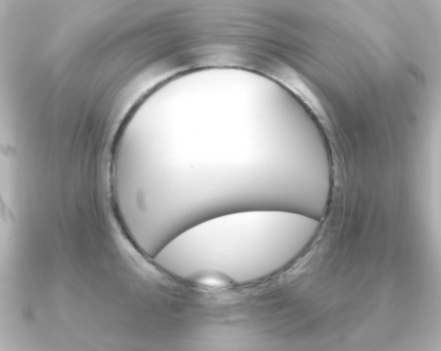 X0000091191000200708091019