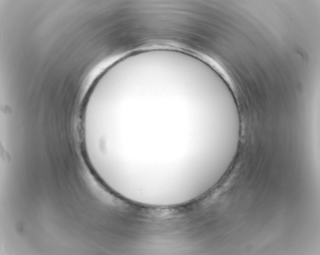 X0000091191003200708091019