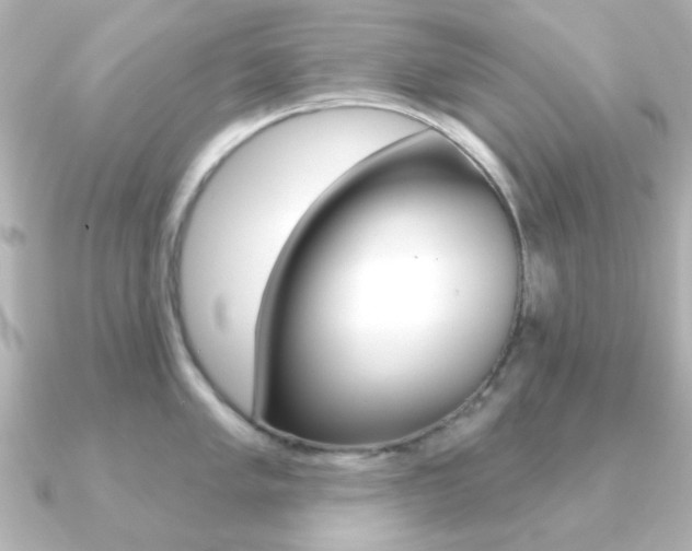 X0000091191005200708091019