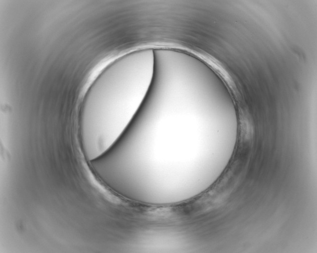 X0000091191006200708091019