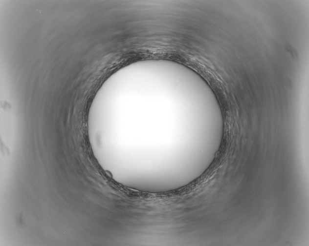 X0000091191009200708091018