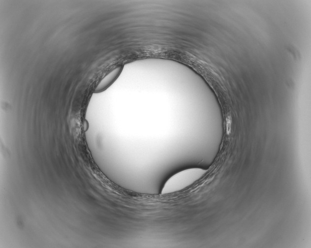 X0000091191011200708091018