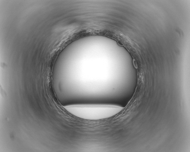 X0000091191012200708091018