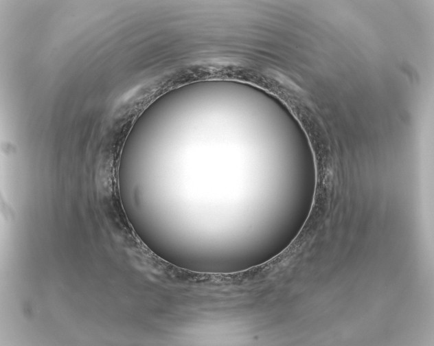 X0000091191014200708091018