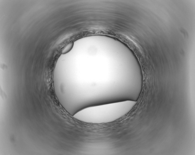X0000091191015200708091018