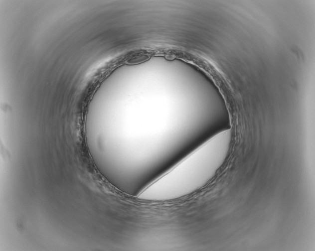X0000091191016200708091018