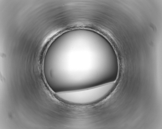 X0000091191018200708091018