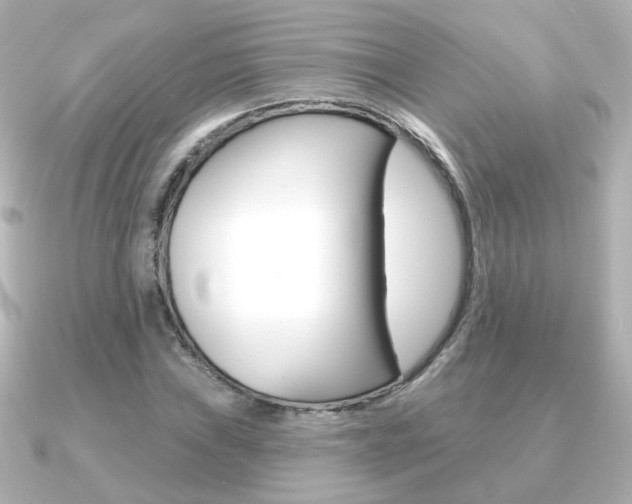 X0000091191019200708091018