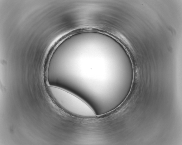 X0000091191020200708091018