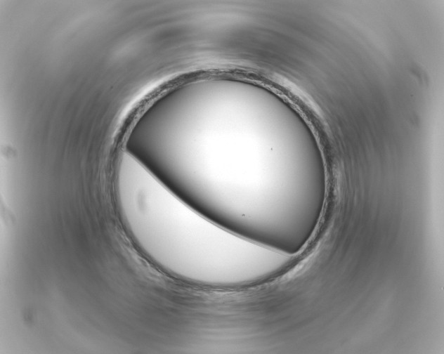 X0000091191021200708091018