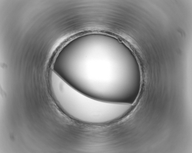 X0000091191022200708091018