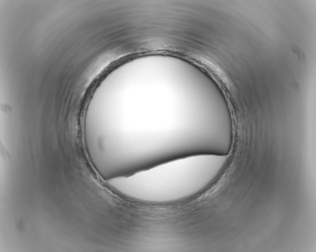 X0000091191023200708091018