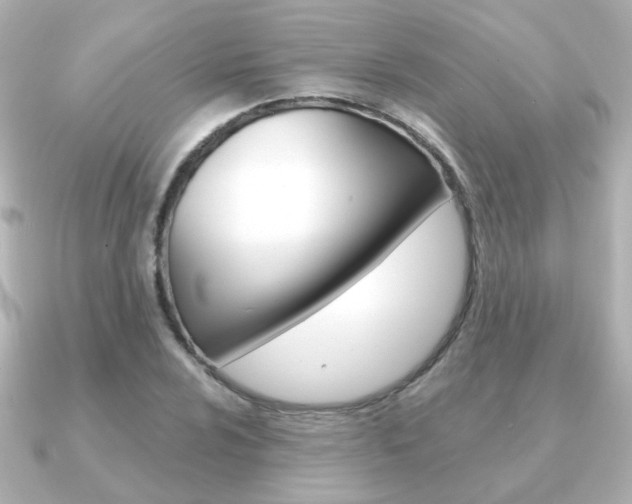 X0000091191024200708091018
