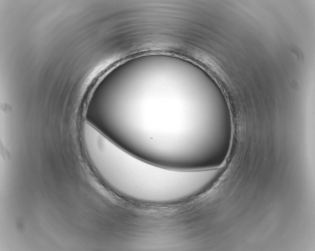 X0000091191026200708091018