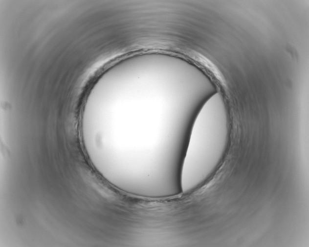 X0000091191027200708091018