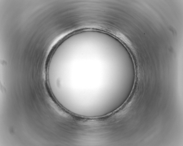 X0000091191028200708091018
