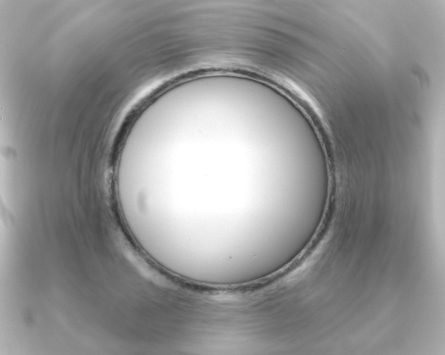 X0000091191029200708091018