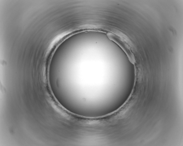 X0000091191030200708091018