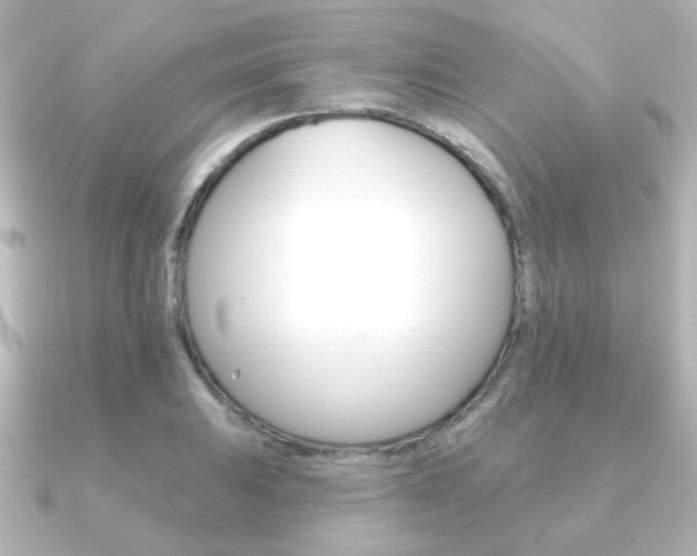 X0000091191031200708091018