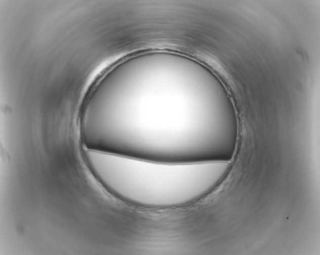 X0000091191032200708091018