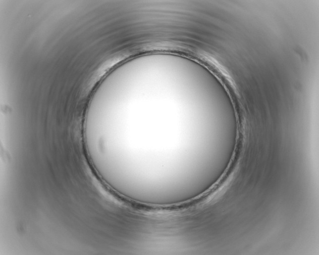 X0000091191033200708091018