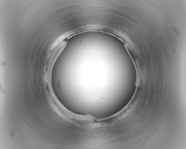X0000091191034200708091019