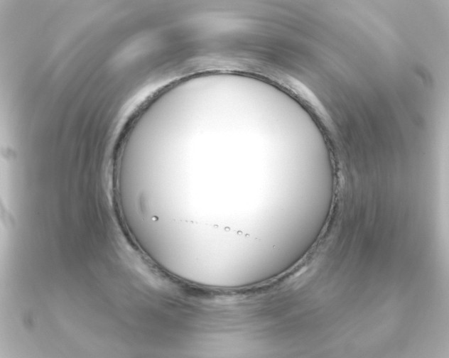 X0000091191035200708091019