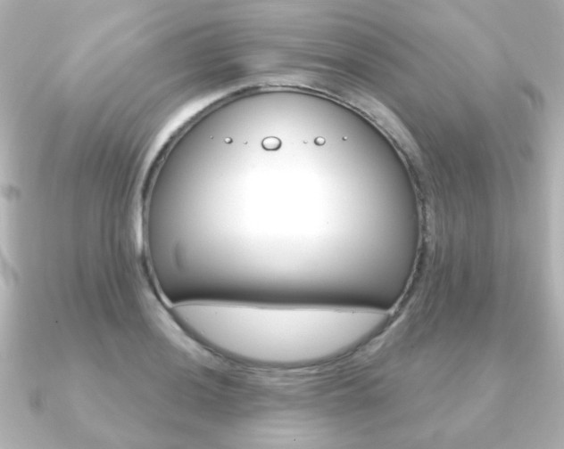 X0000091191036200708091019