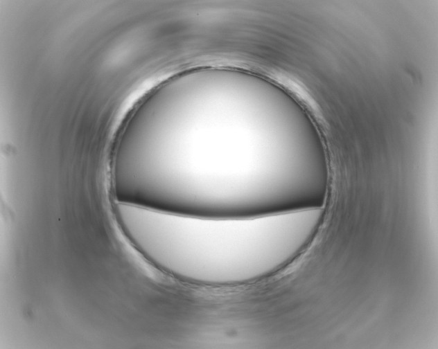 X0000091191040200708091019