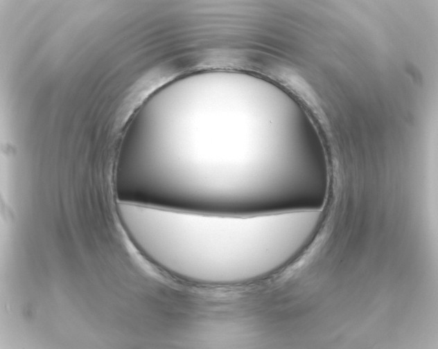 X0000091191041200708091019