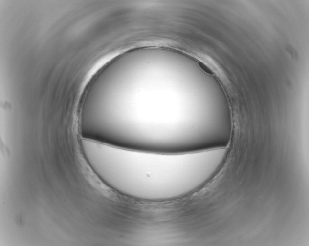 X0000091191044200708091019