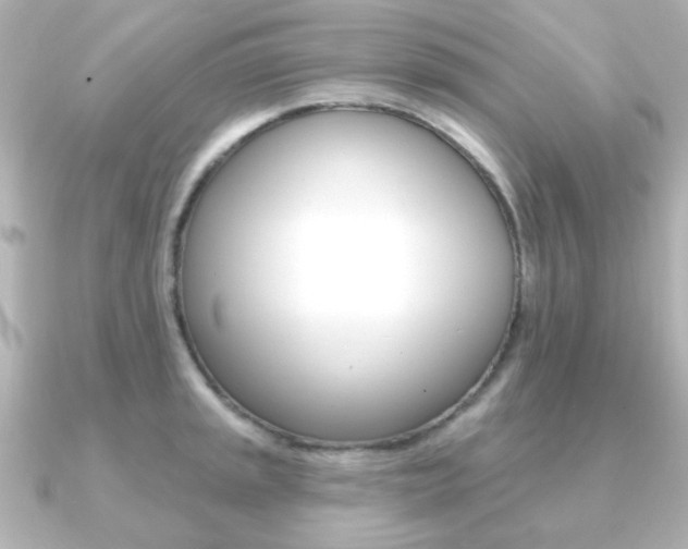 X0000091191045200708091019
