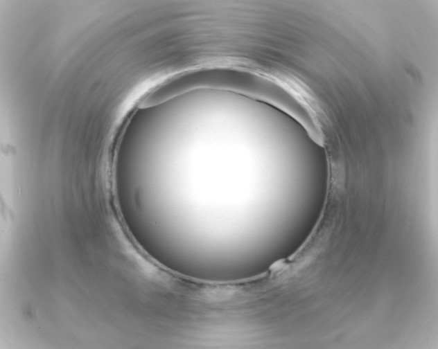X0000091191046200708091019