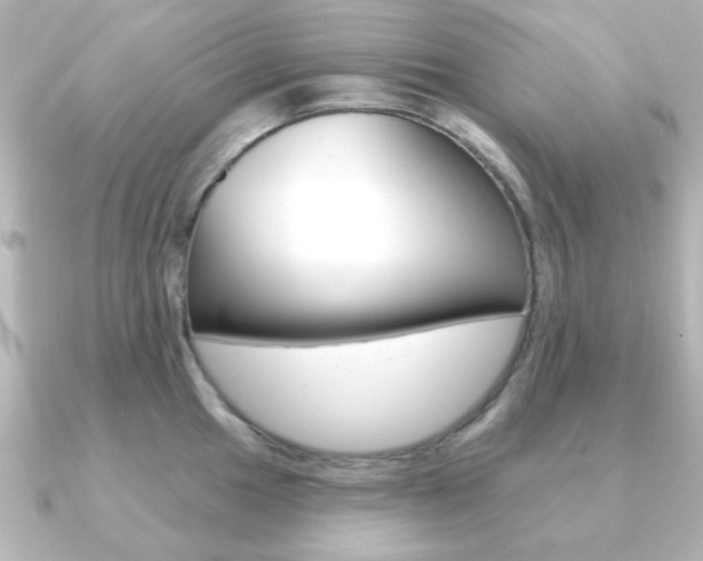 X0000091191049200708091019