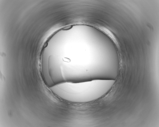 X0000091191051200708091019
