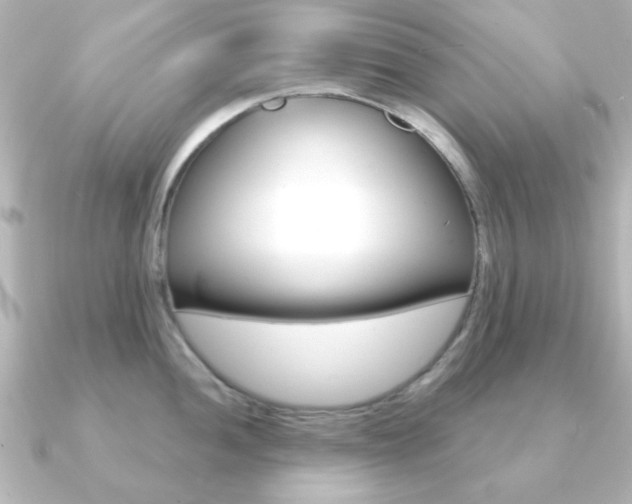 X0000091191052200708091019