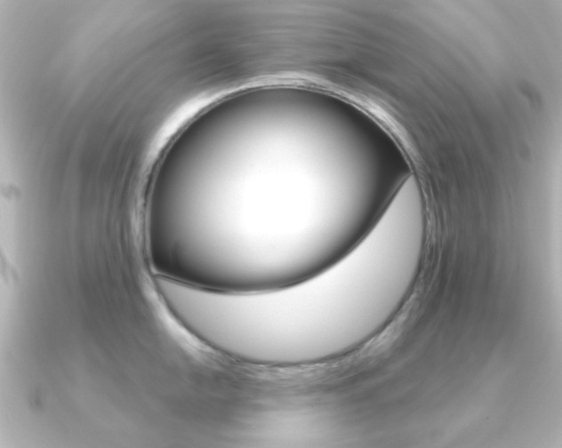 X0000091191054200708091019