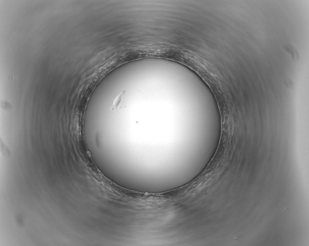 X0000091191058200708091018