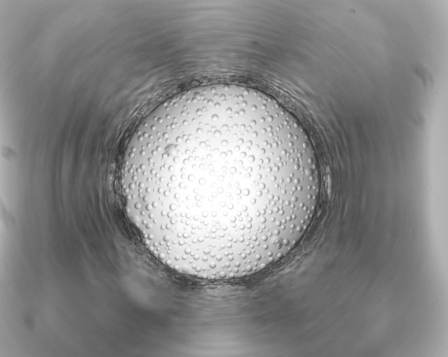 X0000091191059200708091018