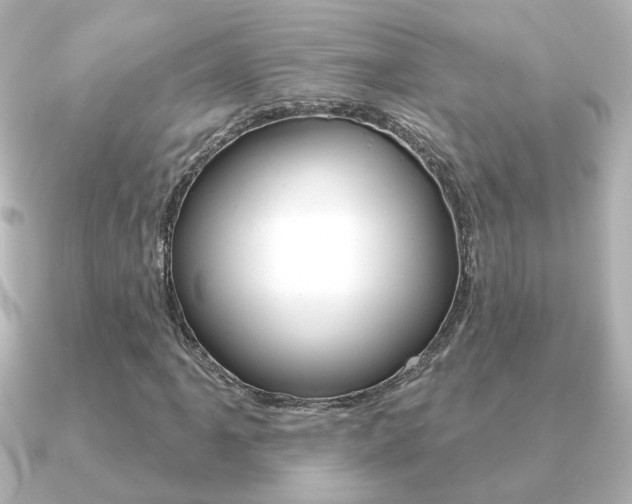X0000091191061200708091018