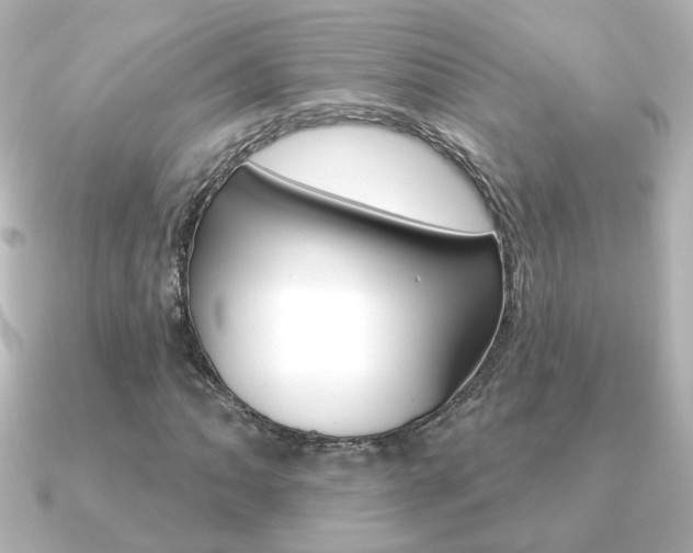 X0000091191062200708091018