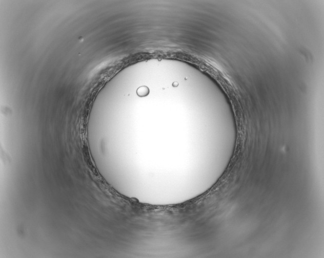 X0000091191063200708091018