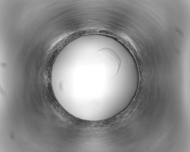 X0000091191064200708091018