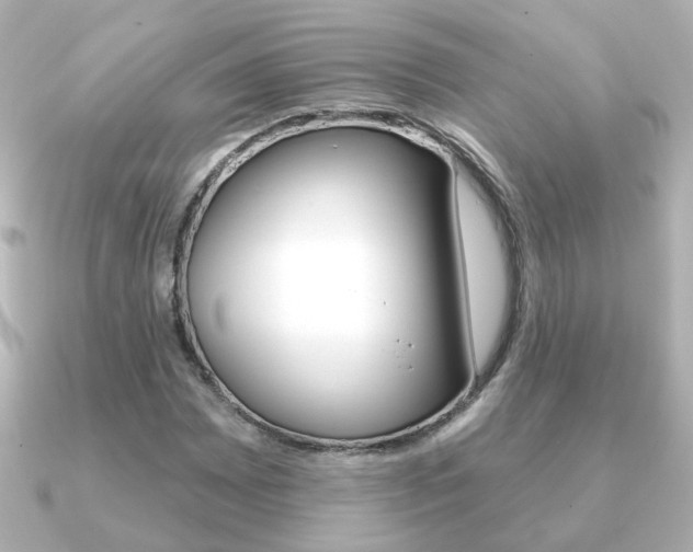X0000091191065200708091018