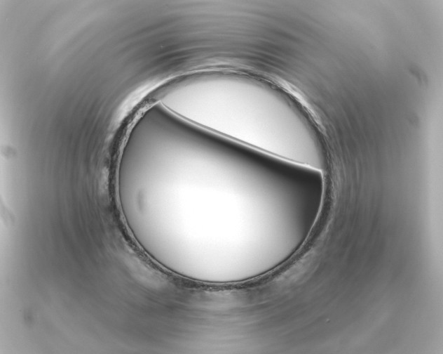 X0000091191066200708091018