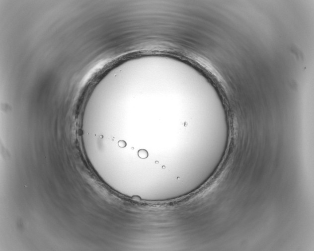 X0000091191067200708091018